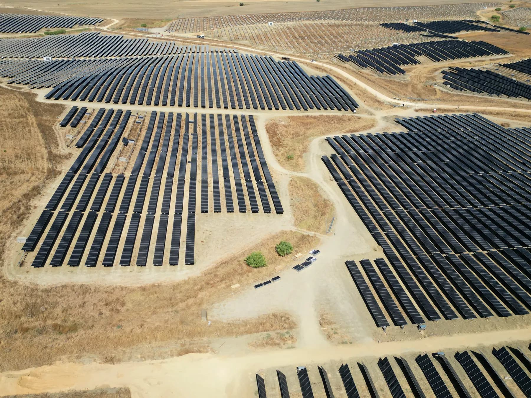 Salteras visto dal drone: file di moduli fra gli uliveti