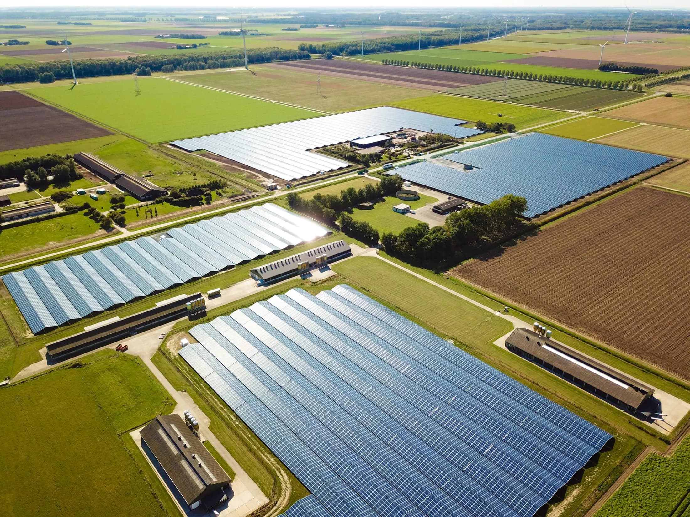 Parco solare di Lelystad, Paesi Bassi — 42 MWp realizzati da FGM Solar