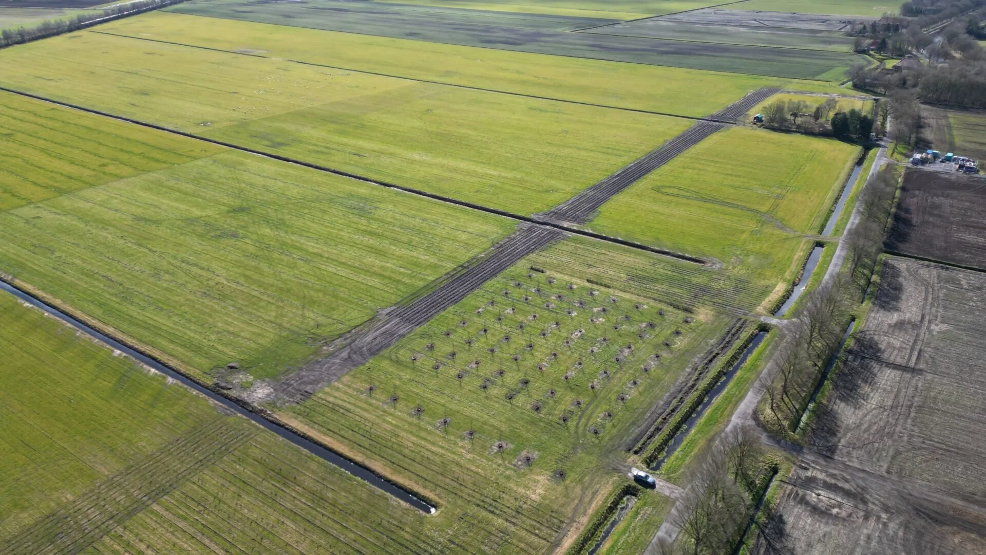 SURVEY — The field exists before the machines do.